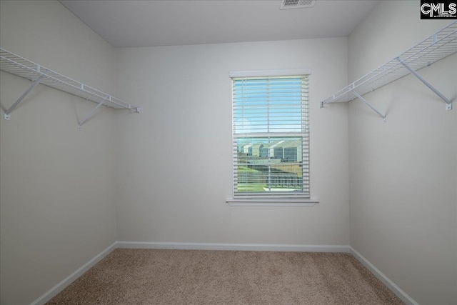 spacious closet featuring carpet floors and visible vents
