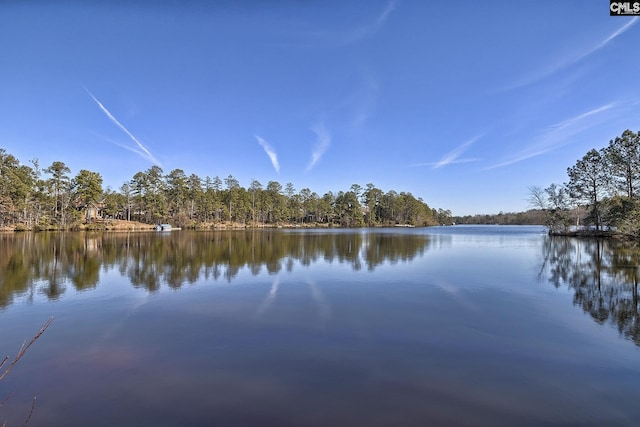water view featuring a wooded view