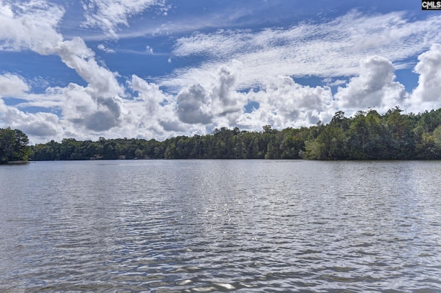 370 Sunnycrest Ln, Columbia, SC 29229 - view of water feature with a forest view