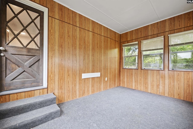 unfurnished room featuring carpet floors, wooden walls, and a wealth of natural light