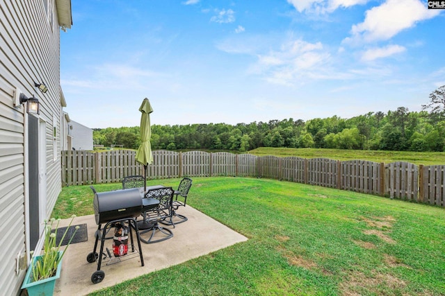 view of yard with a patio and a fenced backyard