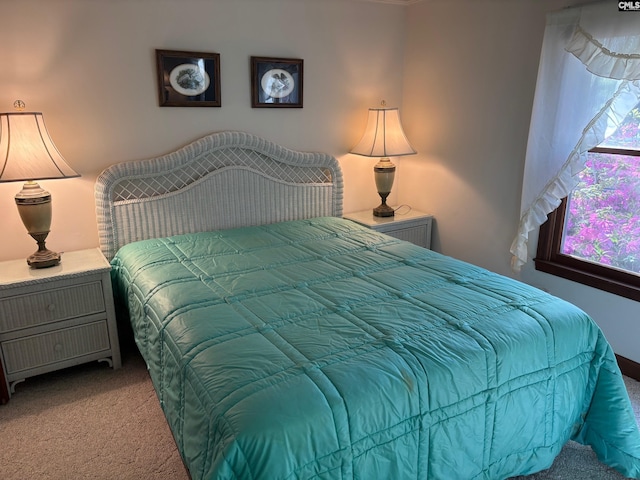829 Rocky Point Cir, Ridgeway, SC 29130 - view of carpeted bedroom