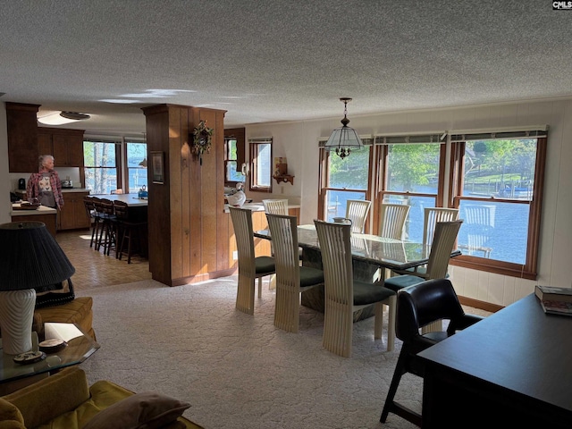 829 Rocky Point Cir, Ridgeway, SC 29130 - dining area featuring a textured ceiling, light colored carpet, and wood walls