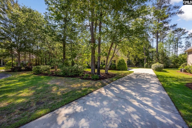 view of property's community featuring a yard and concrete driveway