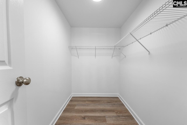 walk in closet featuring dark wood-style floors