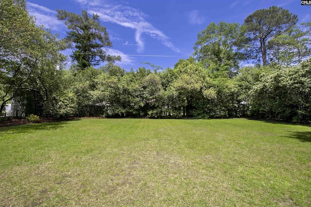 view of yard