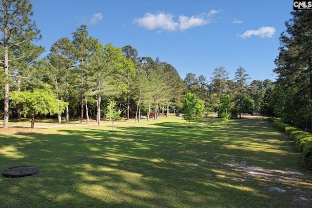 surrounding community featuring a lawn