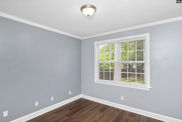 spare room featuring crown molding, baseboards, and dark wood-style floors