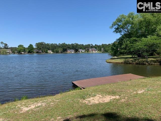 water view featuring a dock