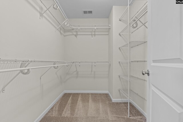 spacious closet featuring carpet floors and visible vents