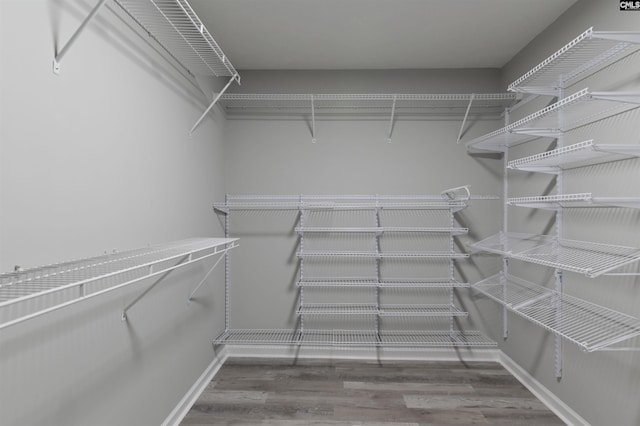 walk in closet with wood finished floors