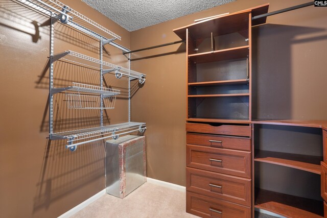 spacious closet with carpet flooring