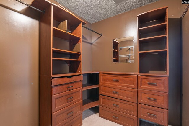 spacious closet featuring light carpet