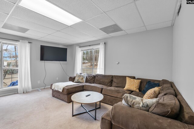 living area featuring baseboards, a drop ceiling, and light carpet