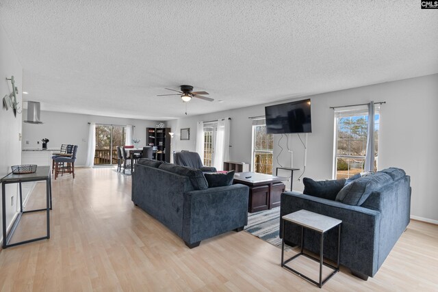 living area featuring a ceiling fan, a textured ceiling, and light wood-style floors