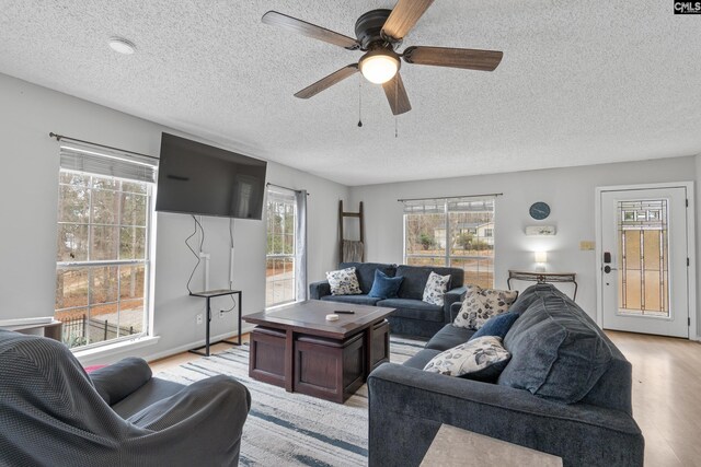 living area featuring a textured ceiling, plenty of natural light, and light wood finished floors