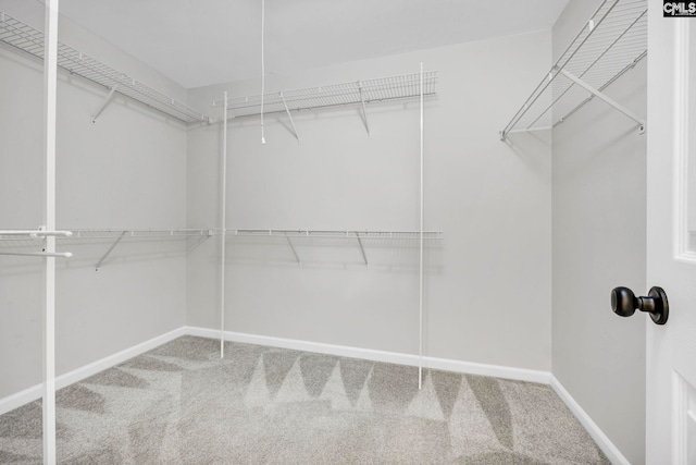 walk in closet featuring carpet flooring