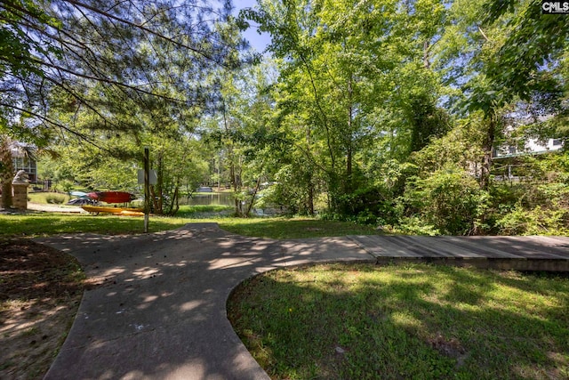 view of property's community featuring a yard