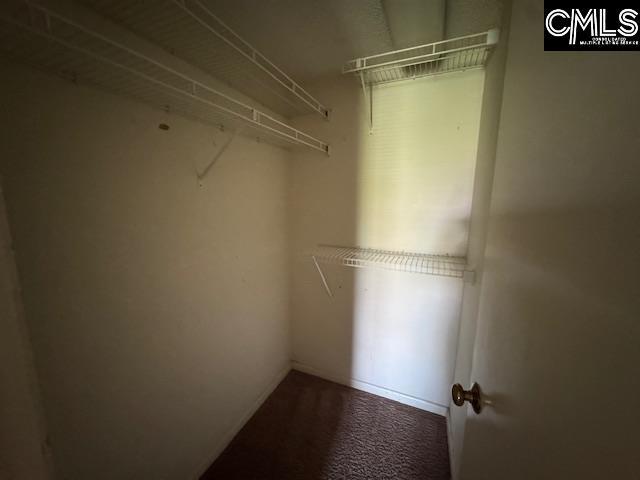 spacious closet featuring carpet floors