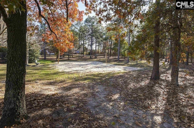 view of yard with volleyball court