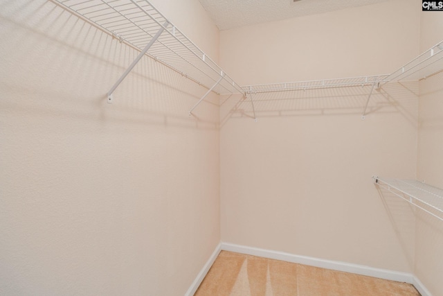 spacious closet featuring light carpet