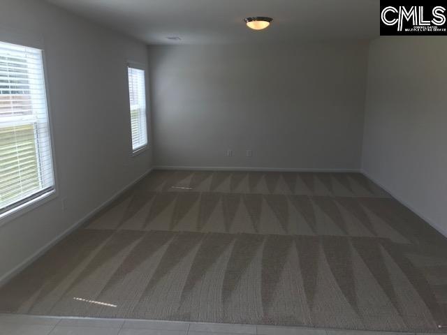 730 Lansford Bay Dr, West Columbia, SC 29172 - carpeted empty room with baseboards