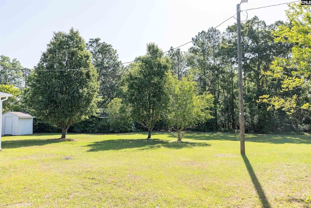 view of yard featuring an outdoor structure and a storage shed