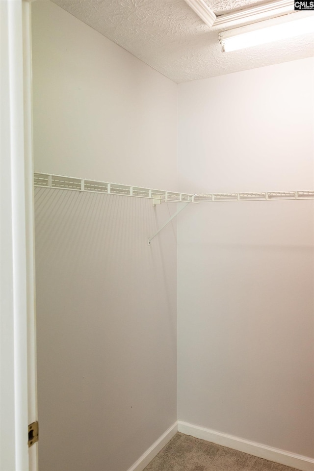 walk in closet with carpet