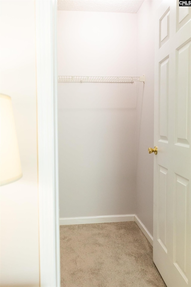 spacious closet with carpet