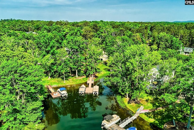 aerial view featuring a water view and a forest view