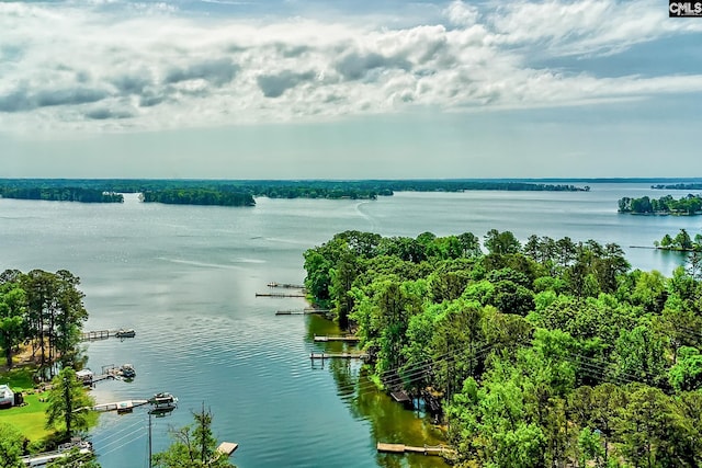 property view of water
