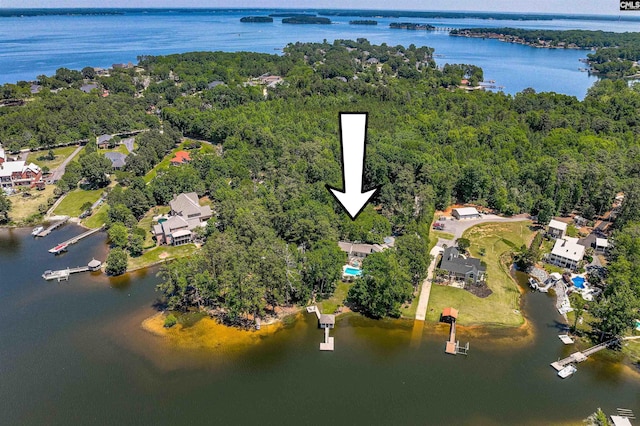 bird's eye view featuring a water view and a forest view