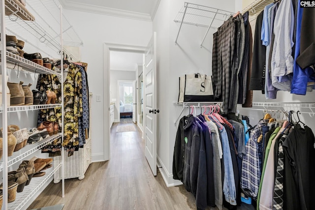 2358 High Bluff Loop, Lexington, SC 29072 - walk in closet with wood finished floors