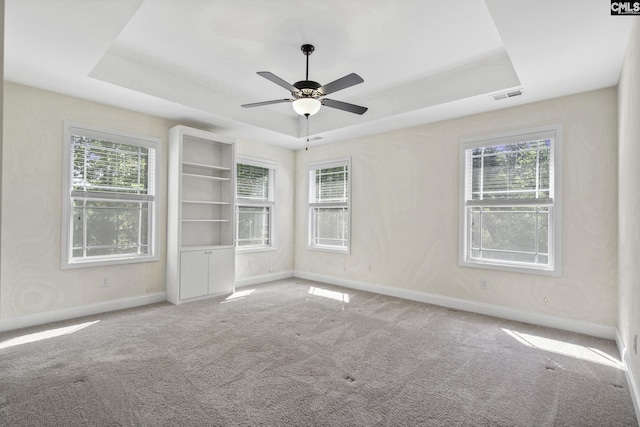 carpeted spare room with plenty of natural light, a raised ceiling, and baseboards