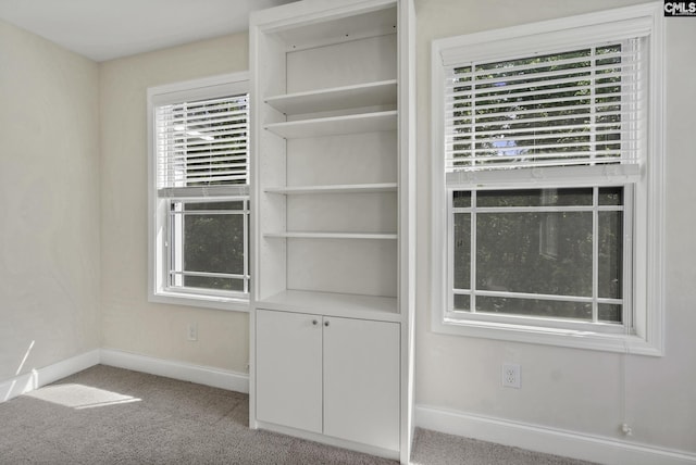 interior space with baseboards and carpet