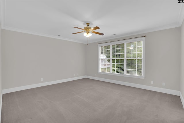 spare room featuring crown molding, baseboards, ceiling fan, and carpet floors