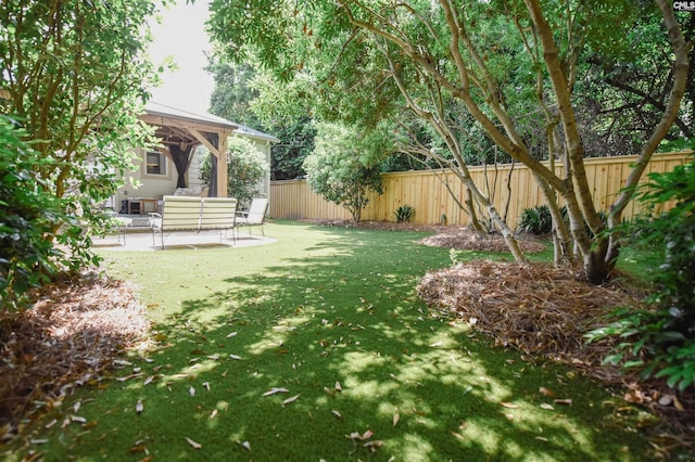 view of yard featuring a patio, outdoor lounge area, and a fenced backyard