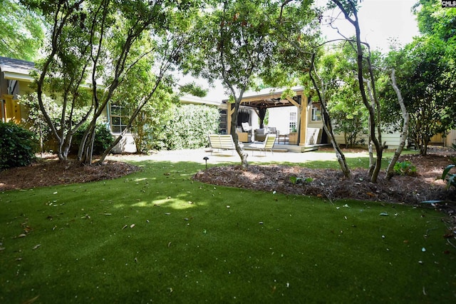 view of yard featuring a patio