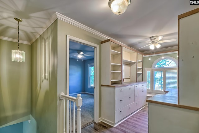 interior space featuring a ceiling fan and wood finished floors