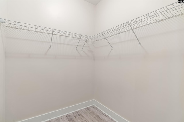 spacious closet with light wood-style floors