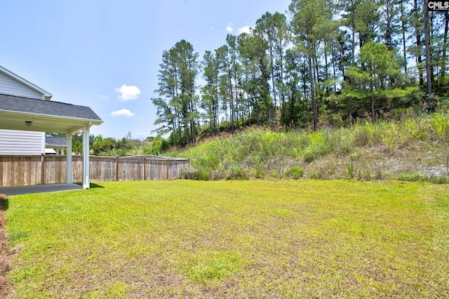 433 Outer Banks Dr, Lexington, SC 29072 - view of yard