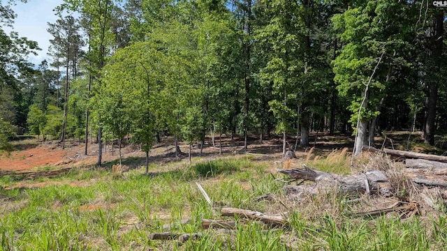TBD Rolling Hills Rd, Ridgeway, SC 29130