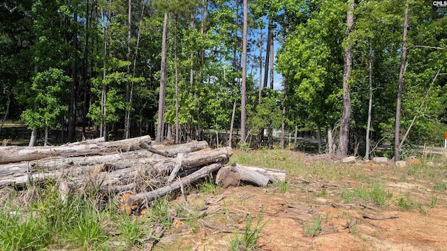 TBD Rolling Hills Rd, Ridgeway, SC 29130