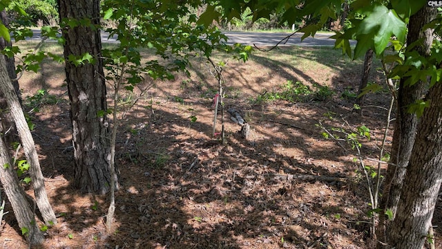 TBD Rolling Hills Rd, Ridgeway, SC 29130