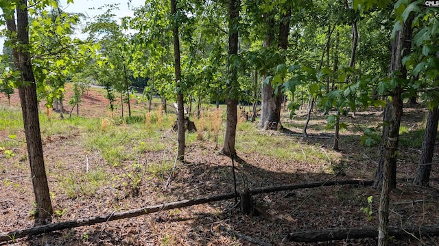 TBD Rolling Hills Rd, Ridgeway, SC 29130