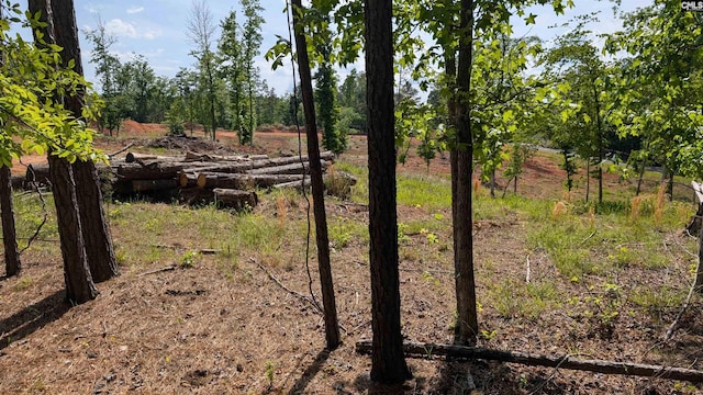 TBD Rolling Hills Rd, Ridgeway, SC 29130