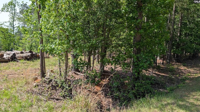 TBD Rolling Hills Rd, Ridgeway, SC 29130