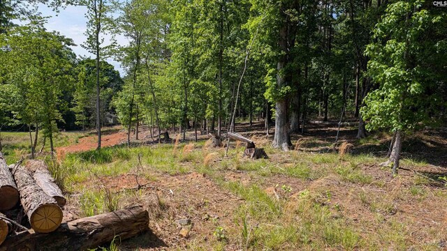 TBD Rolling Hills Rd, Ridgeway, SC 29130