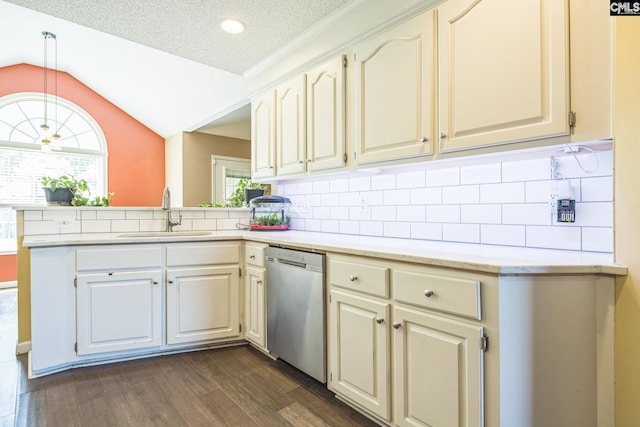 kitchen with stainless steel dishwasher, dark wood-style flooring, plenty of natural light, and a sink