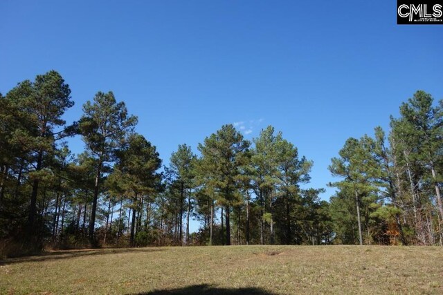 0 Great N Rd, Winnsboro, SC 29180